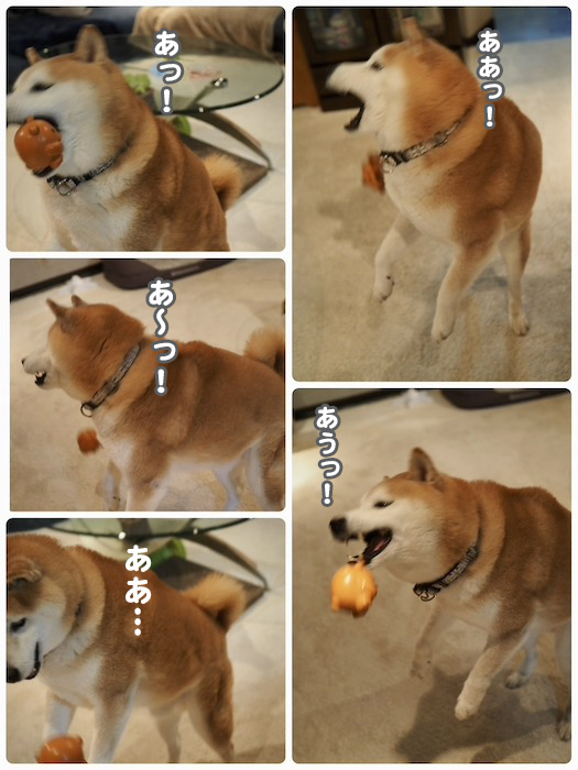 27日夕ブログ４
