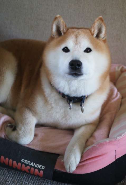 28日午後ブログ１