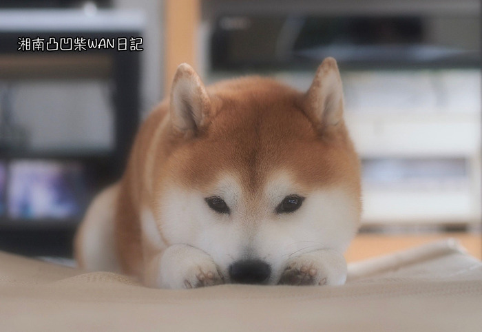 16日ブログ2