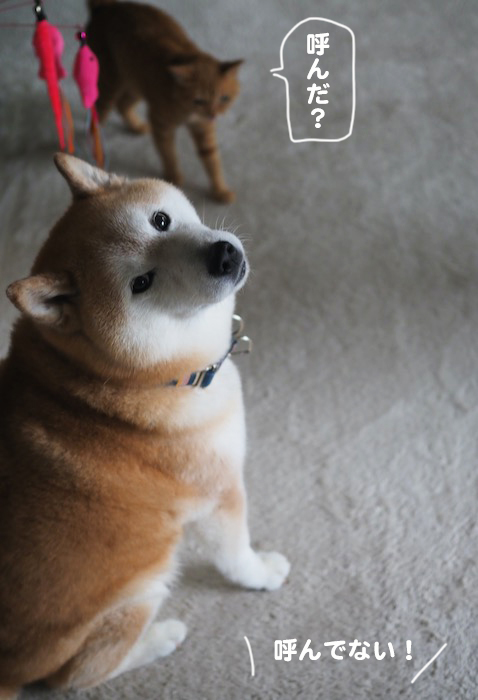19日ブログ３