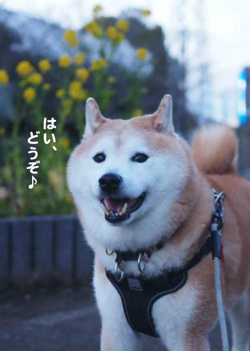 26日ブログ７