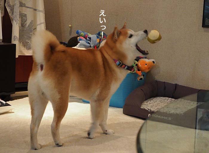 22日ブログ５