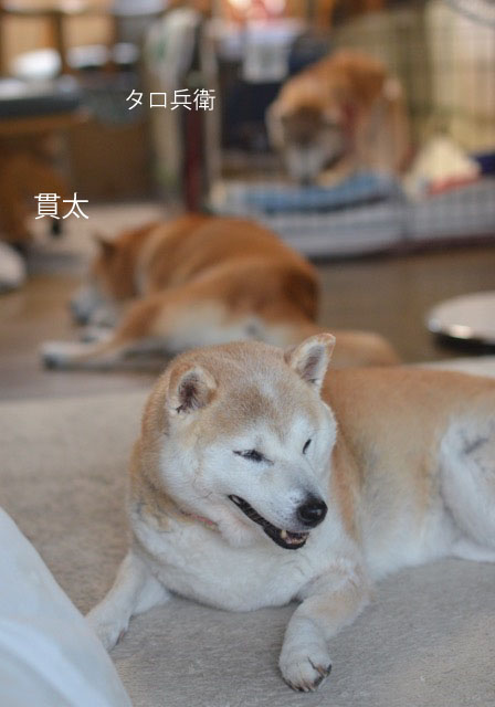 22日ブログ9