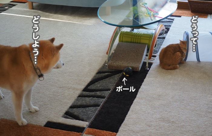 2日夕ブログ７
