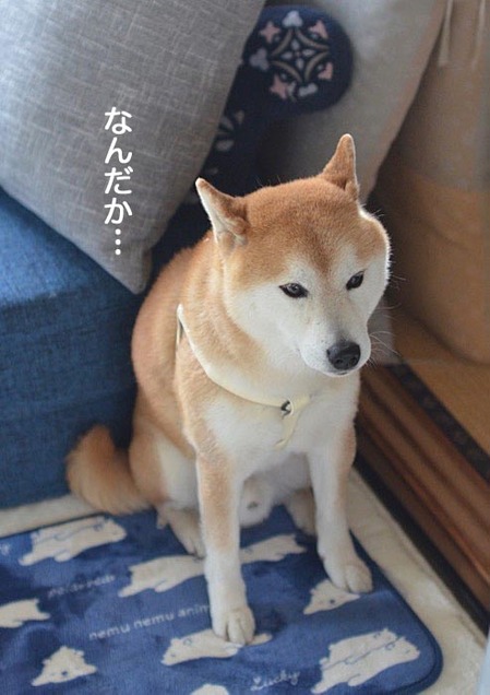27日ブログ2