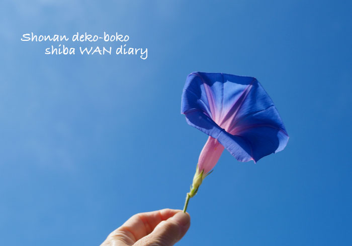 19日ブログ１