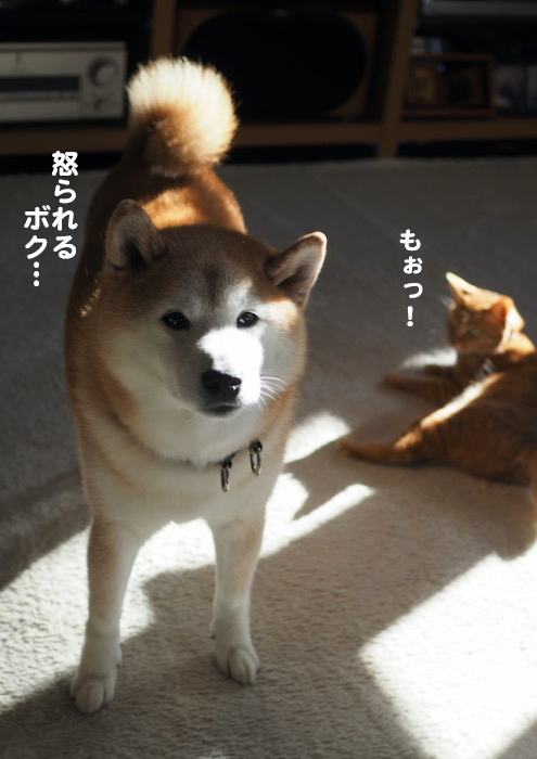 29日ブログ６