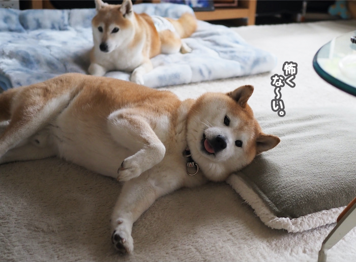 26日ブログ７