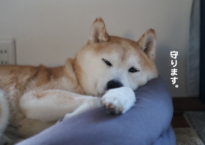 14日夜ブログ６