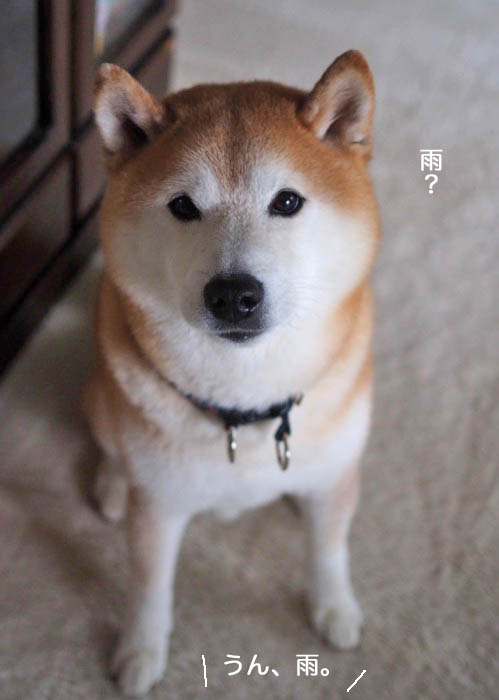4日午前ブログ２