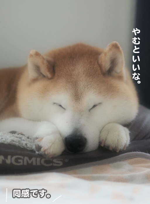 19日午前ブログ４