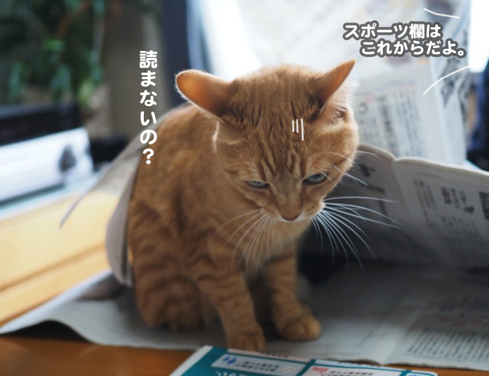 23日ブログ4