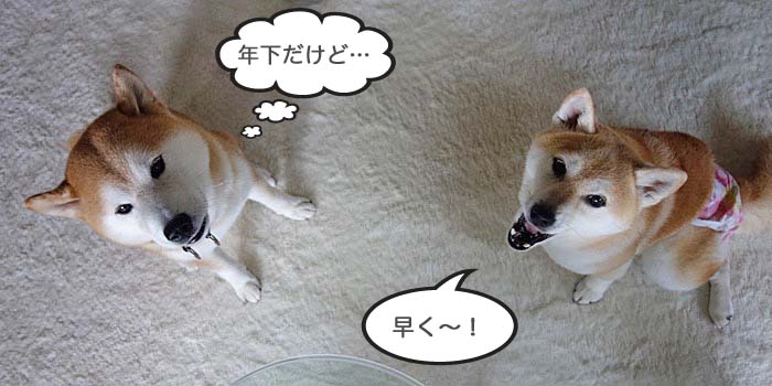 23日ブログ３