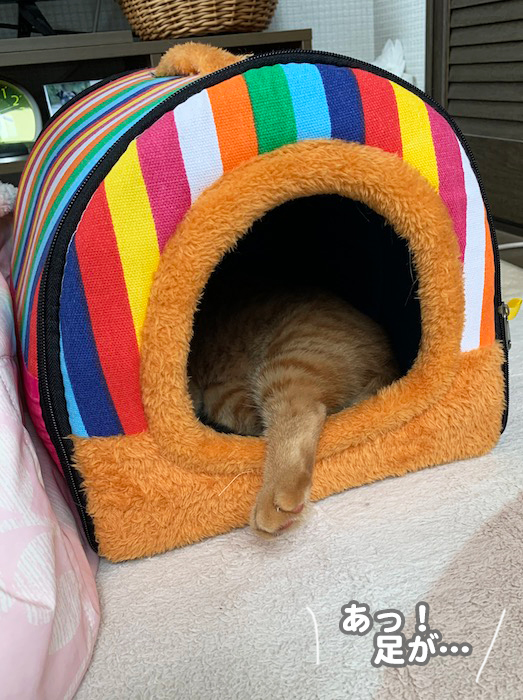 7日夕ブログ５