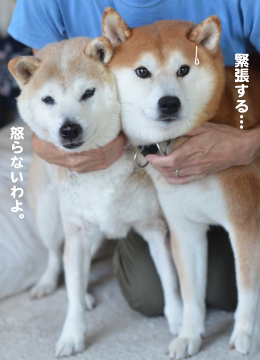 1日夕ブログ８