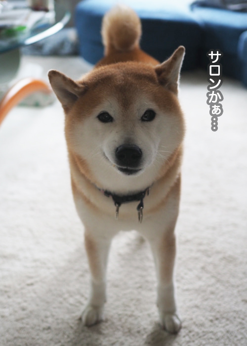 17日夜ブログ２