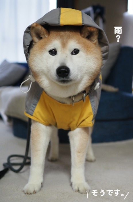 5日夜ブログ3