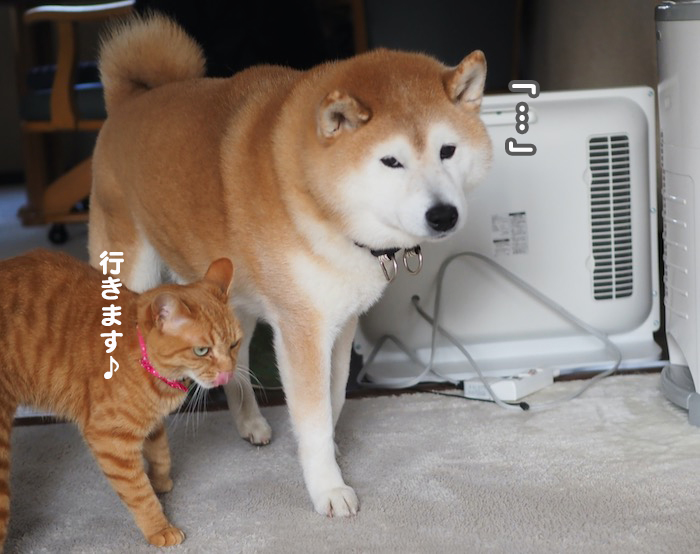 14日夕ブログ８