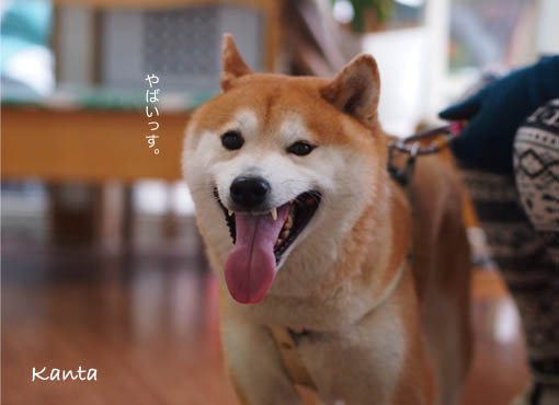 29日ブログ2.jpg