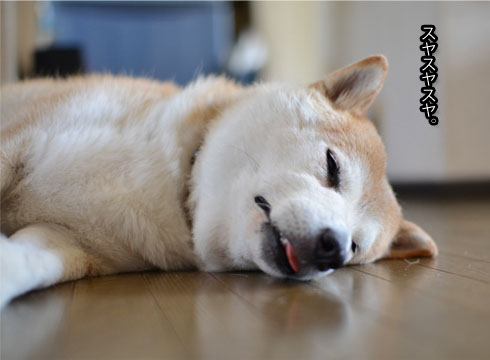 30日ブログ3.jpg