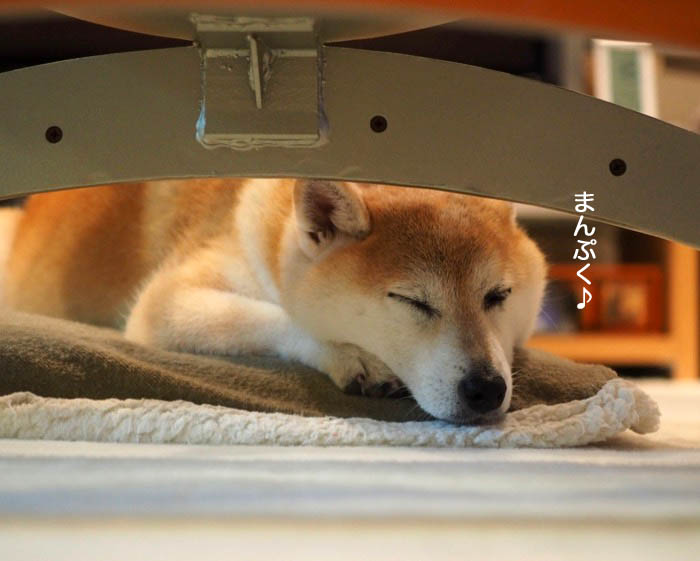 20日夜ブログ６