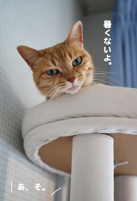18日夕ブログ４