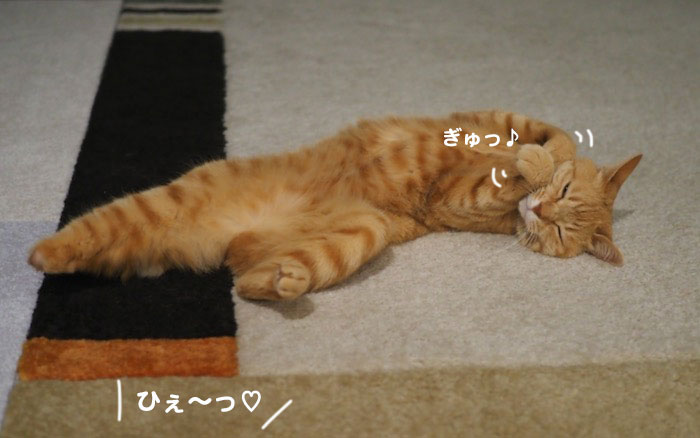 19日夕ブログ４