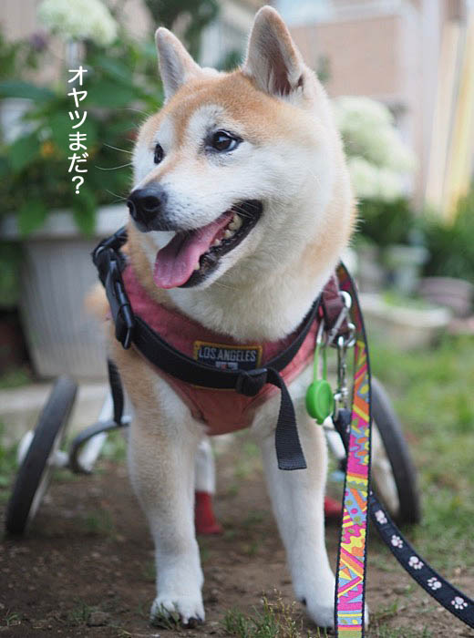 22日夜ブログ４