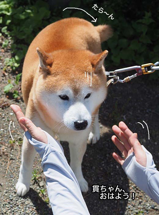 23日午後ブログ１