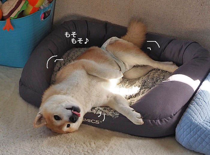 12日夜ブログ３