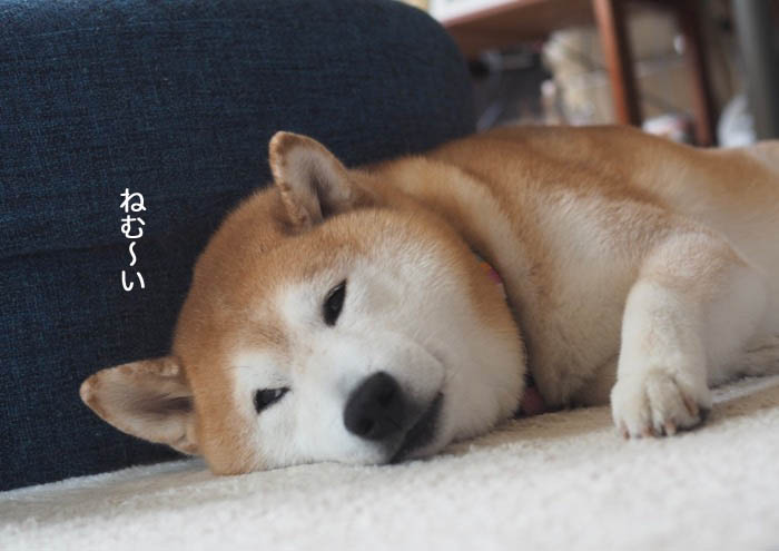 16日ブログ３
