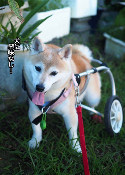 21日夜ブログ4
