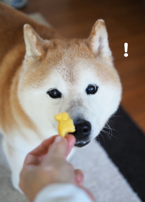 6日ブログ４