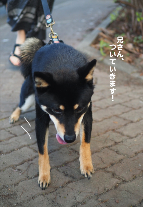 28日夜ブログ5