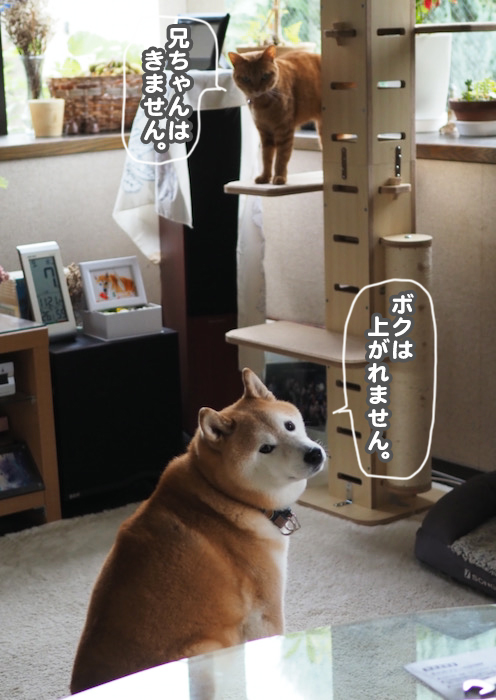 20日ブログ９