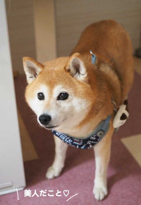 26日夜ブログ3