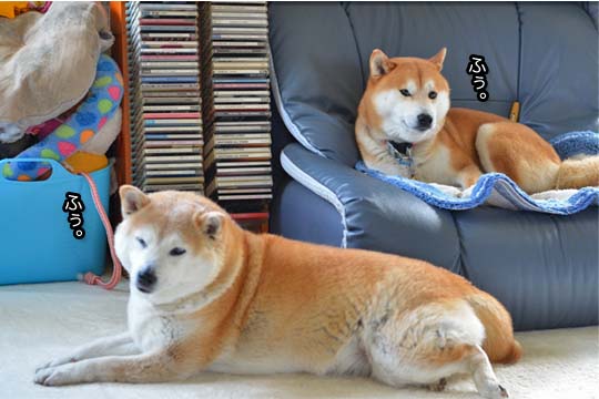 29日ブログ8.jpg