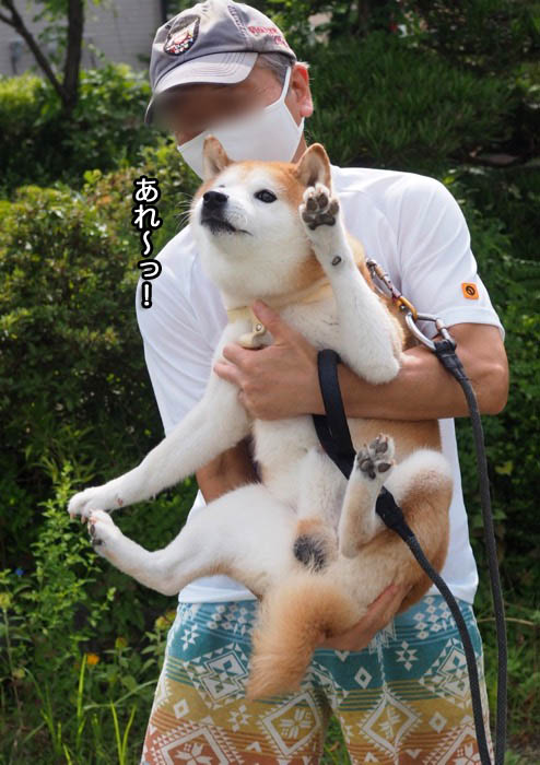 24日午後ブログ４