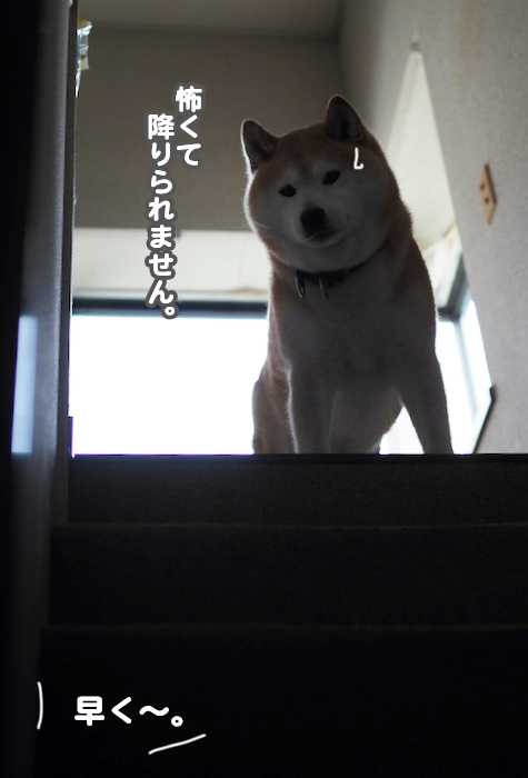 20日夕ブログ４