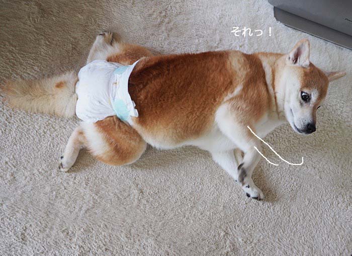29日夜ブログ６