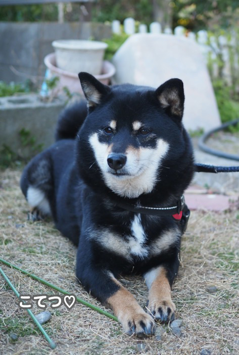 23日夕ブログ６