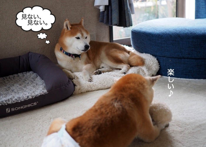 12日ブログ４
