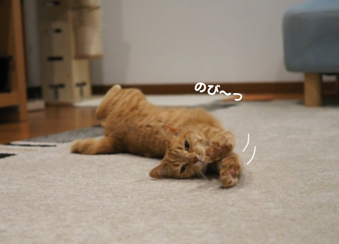 10日ブログ３