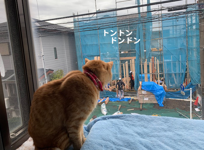 6日夕ブログ４