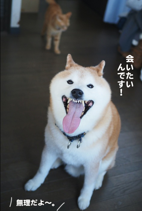 17日夕ブログ9