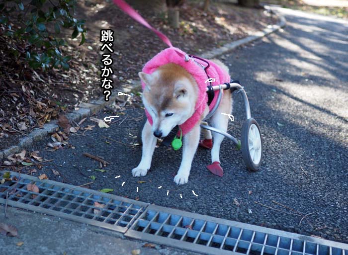 9日ブログ３