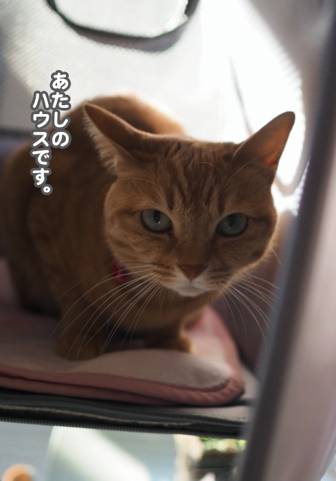 9日ブログ２