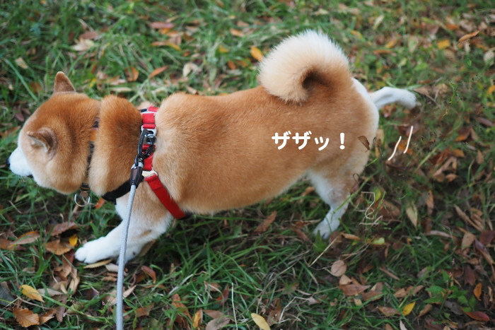 19日午前ブログ３