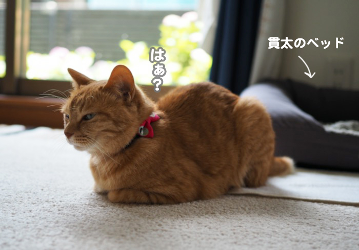 19日午前ブログ４