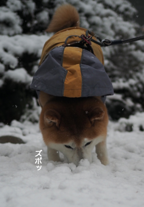 6日夜ブログ７